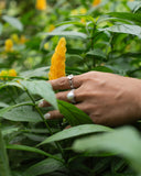 FRANGIPANI CHAIN RING
