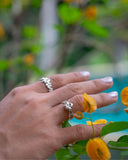 FRANGIPANI CHAIN RING