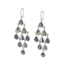 DANCING RAIN EARRING - PAUA