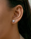 TWEE TWIST IN ZIRCON