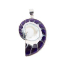 NAUTILUS - PURPLE