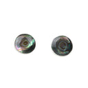 POLKA - PAUA STUD